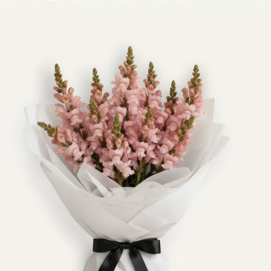 Bright colorful snapdragons in a large floral arrangement, showcasing vibrant blooms from Bloomhaus Melbourne.