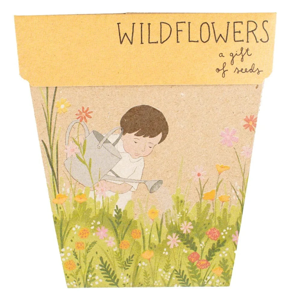 Sow 'n Sow greeting cards Sow N Sow Gift of Seeds