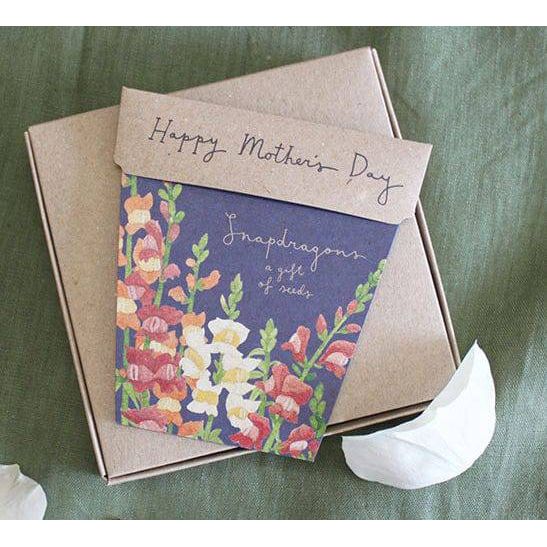BLOOMHAUS MELBOURNE seeds SoW N Sow Seed Mothers Day Greeting Cards - Gift of seeds