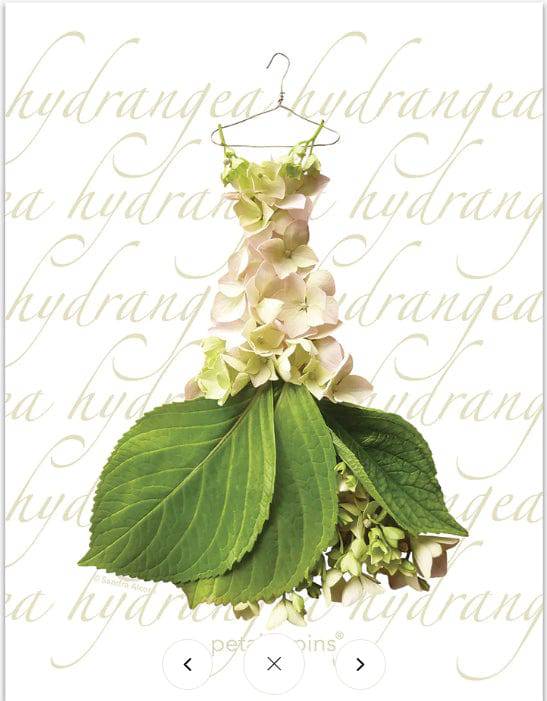 BLOOMHAUS MELBOURNE teatowel Hydrangea Gown Petal and Pins | Premium Linen Australian Made Tea towels and Matching Greeting Cards