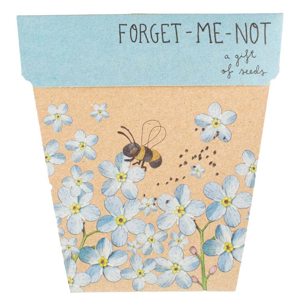 Forget-Me-Not Gift of Seeds (Australia Only) - BLOOMHAUS MELBOURNE