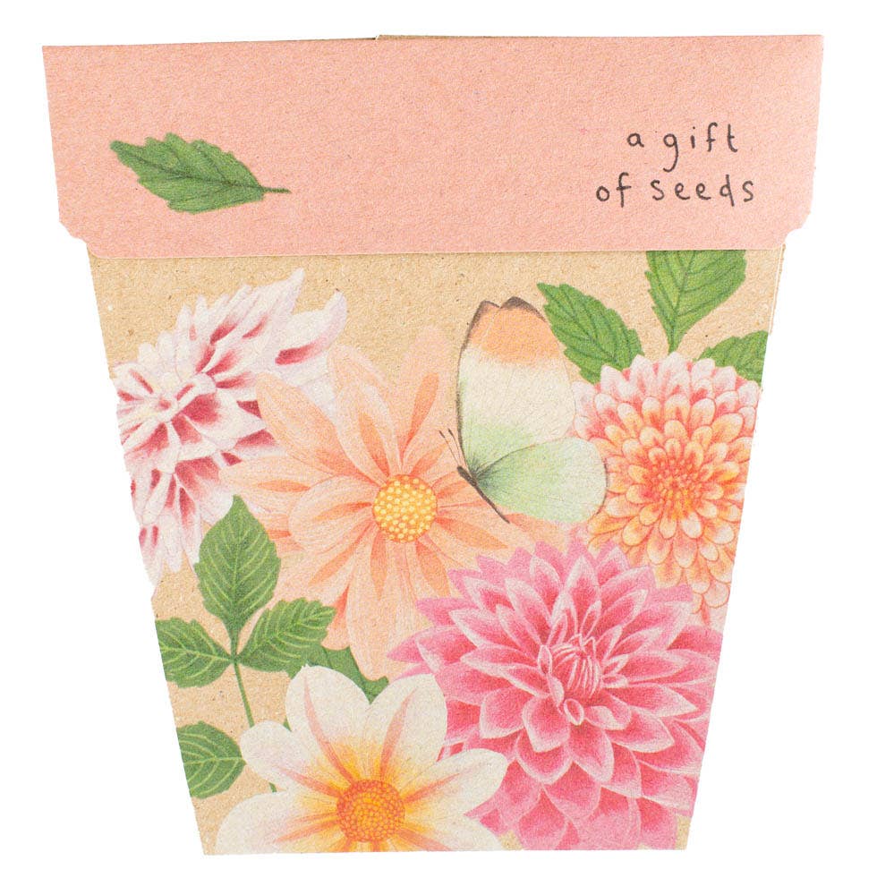 Dahlia Gift of Seeds - Previous Design (Australia only) - BLOOMHAUS MELBOURNE