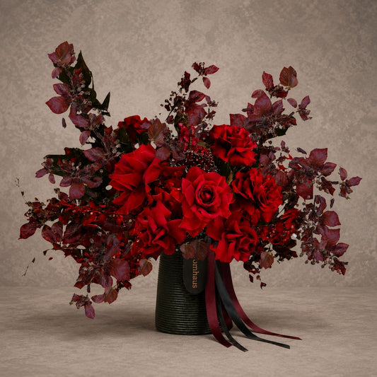Bright red Cherry Bomb reflexed roses from Bloomhaus Melbourne, showcasing vibrant, layered blooms perfect for floral arrangements.