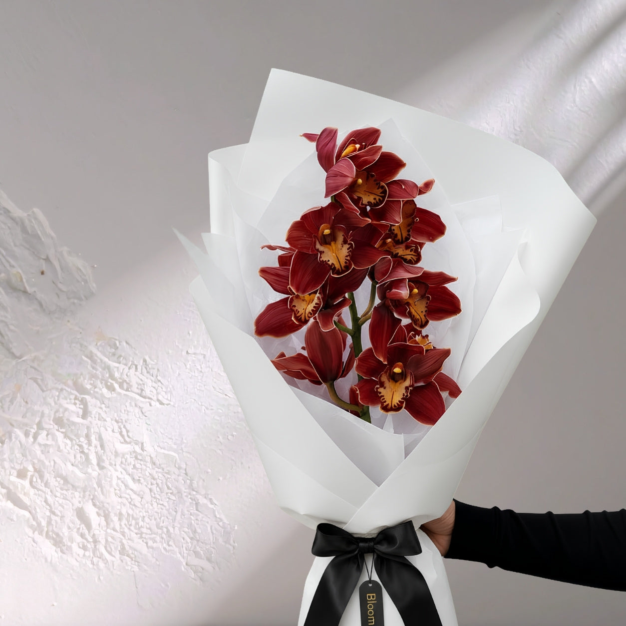 Deep red Cymbidium orchid flowers in a lush bloom, showcasing vibrant blooms from BLOOMHAUS MELBOURNE.