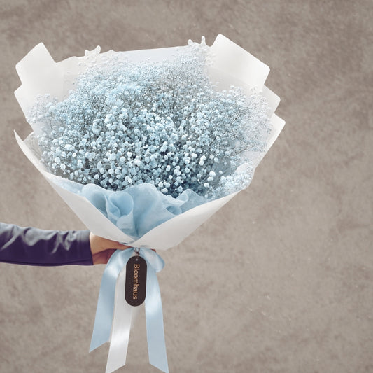 Blue Baby's Breath flowers from Bloomhaus Melbourne featuring delicate fairy floss-like blooms for floral arrangements.