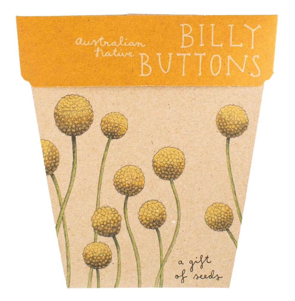 Enchanted Garden Gift of Seeds (Australia Only) - BLOOMHAUS MELBOURNE
