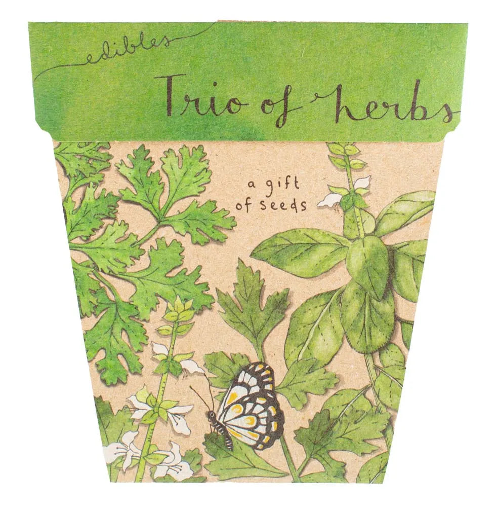 Enchanted Garden Gift of Seeds (Australia Only) - BLOOMHAUS MELBOURNE