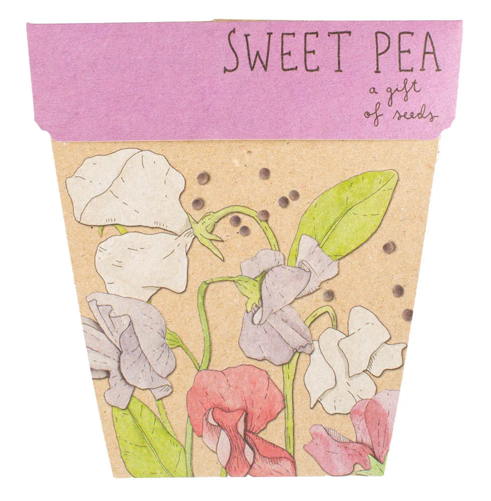 Enchanted Garden Gift of Seeds (Australia Only) - BLOOMHAUS MELBOURNE