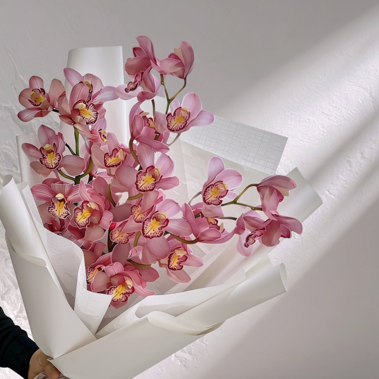 Cymbidium orchid flowers in a lush cluster, showcasing vibrant blooms from BLOOMHAUS MELBOURNE against a neutral background.