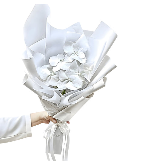 White Phalaenopsis Orchid Stem- Bloomhaus-Melbourne delivery