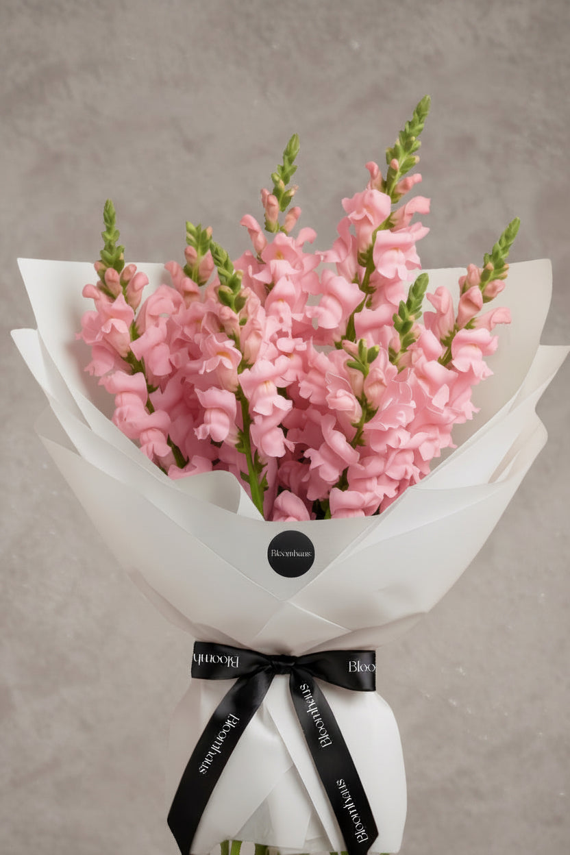 Pink snapdragons in a dense cluster, showcasing vibrant blooms from Bloomhaus Melbourne in a natural flower arrangement.