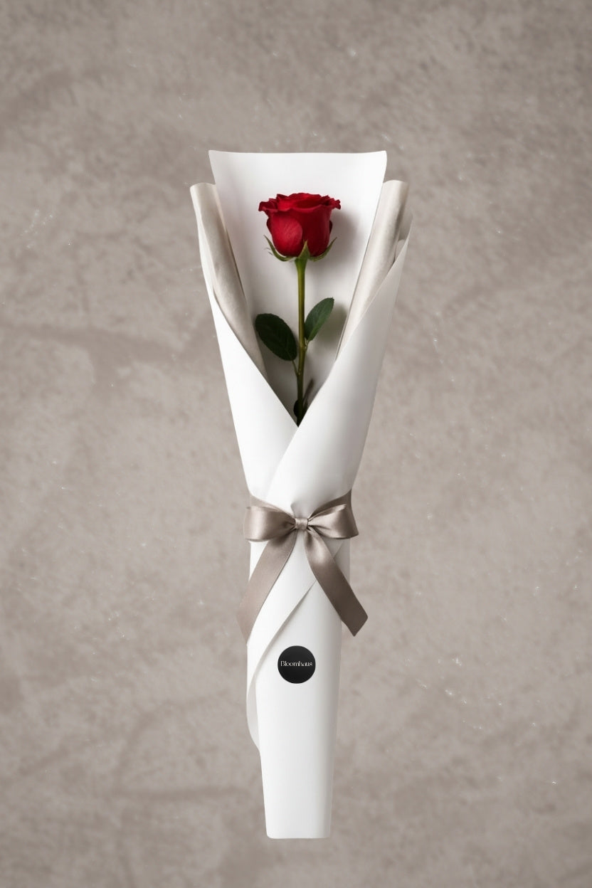 Single red long-stem rose from BLOOMHAUS MELBOURNE, fresh flower with vibrant petals, perfect for gifting or decoration.