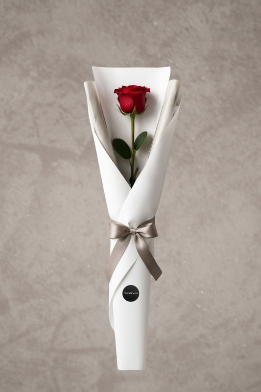 Single red long-stem rose from BLOOMHAUS MELBOURNE, fresh flower with vibrant petals, perfect for gifting or decoration.