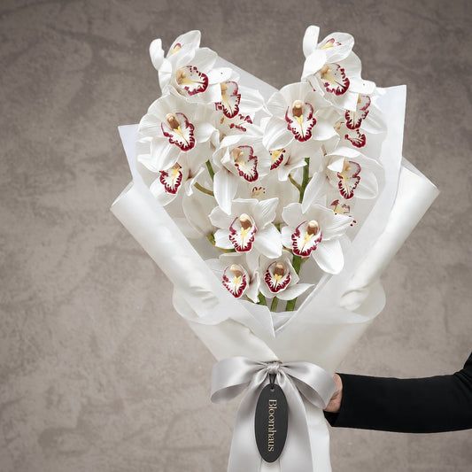 White Cymbidium orchid flowers in bloom, vibrant blooms from BLOOMHAUS MELBOURNE, showcasing elegant orchid cluster.