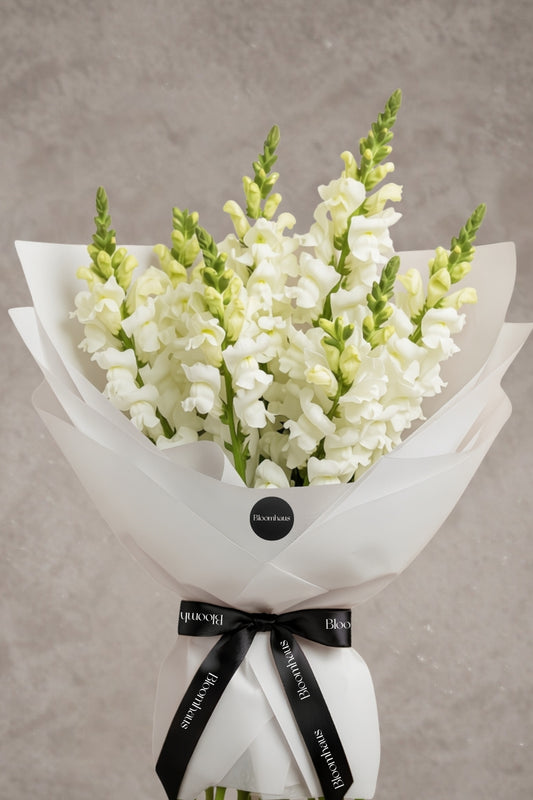 White snapdragons en masse, vibrant floral bouquet from Bloomhaus Melbourne showcasing tall, colorful snapdragon flowers.