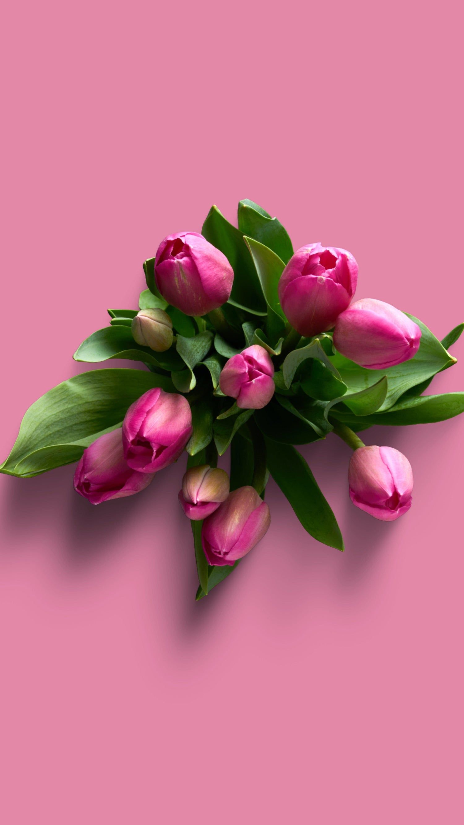 BLOOMHAUS MELBOURNE Flower arrangement BUNCH OF TULIPS