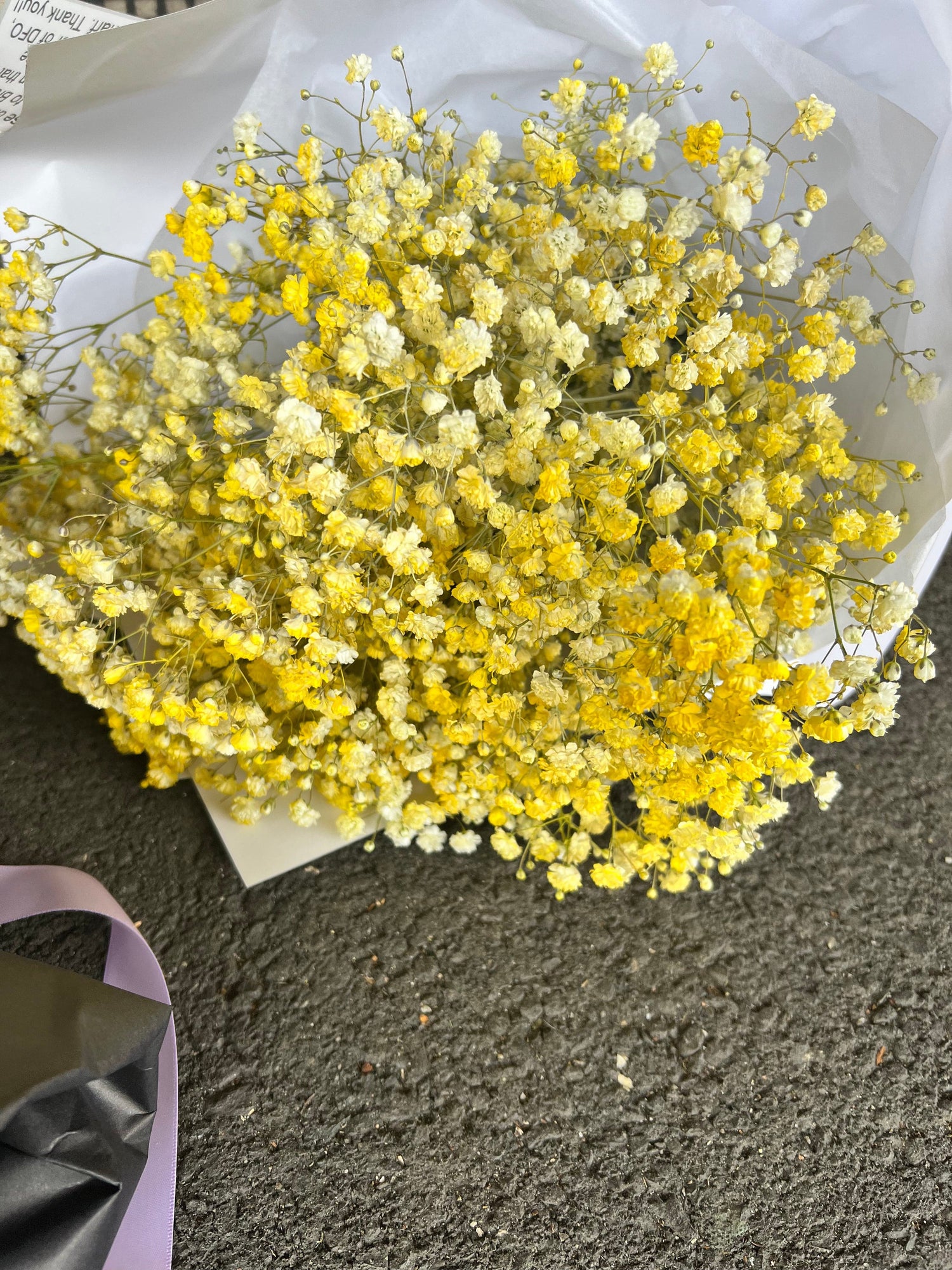 BLOOMHAUS MELBOURNE Flower arrangement Fairy Floss -Babies Breath Bouquet with Glitter Option