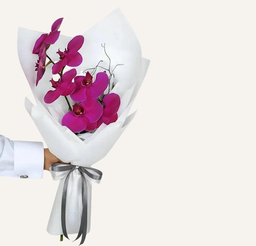 BLOOMHAUS MELBOURNE Flower> orchid Phally - Phalaenopsis Orchid Stem