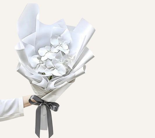 BLOOMHAUS MELBOURNE Flower> orchid Phally - Phalaenopsis Orchid Stem