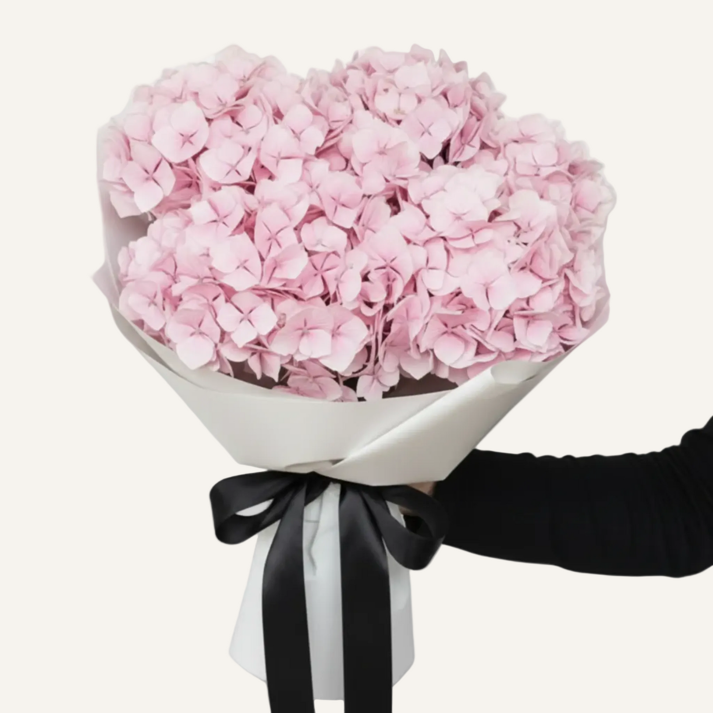 BLOOMHAUS MELBOURNE Flowers > Hydrangea Hydrangeas en mass