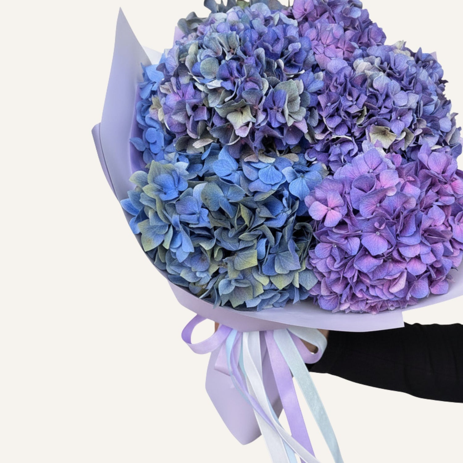 BLOOMHAUS MELBOURNE Flowers > Hydrangea Hydrangeas en mass