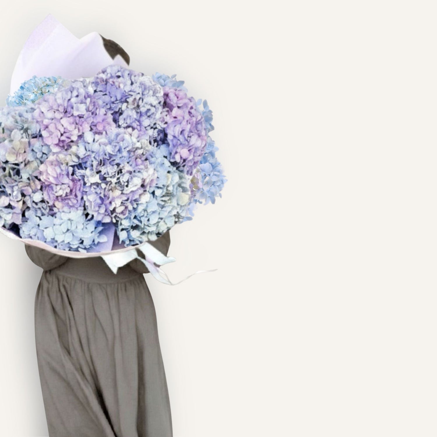 BLOOMHAUS MELBOURNE Flowers > Hydrangea Hydrangeas en mass | Premium seasonal stems