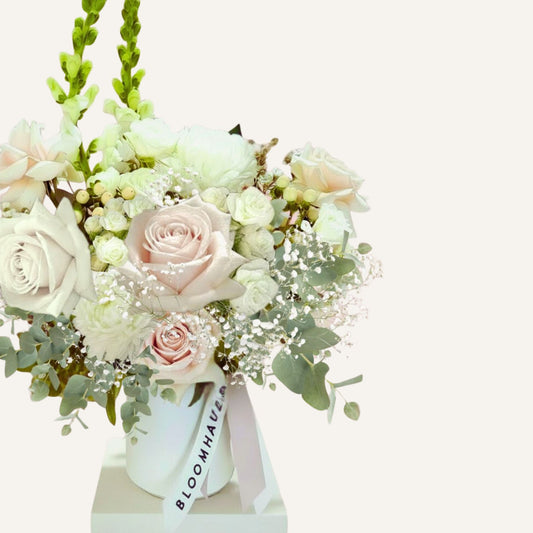 BLOOMHAUS MELBOURNE Flowers > reflexed roses Angel - Blush & White Reflexed Roses,Seasonal flowers in a Ceramic Pot