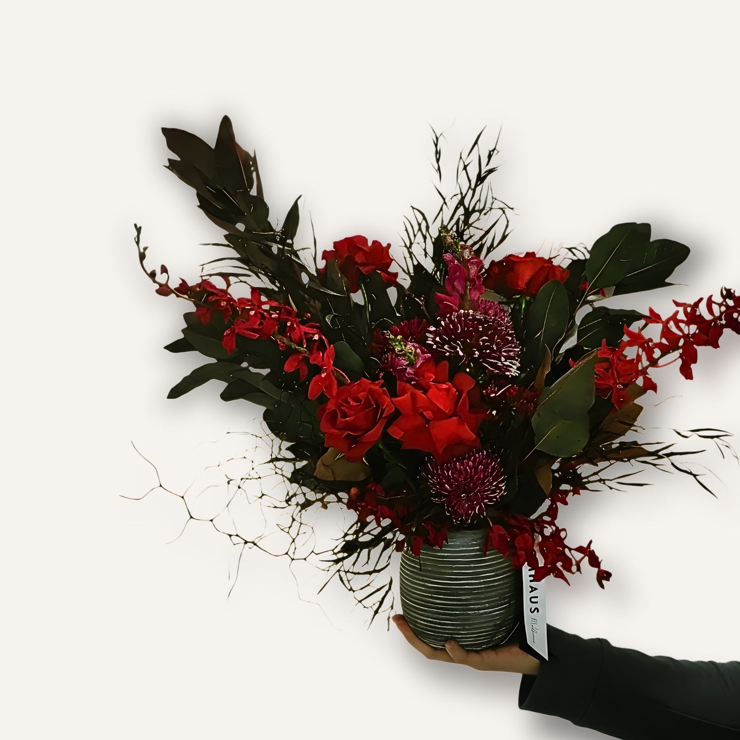 BLOOMHAUS MELBOURNE Flowers > reflexed roses Cherry Bomb - Moody blooms