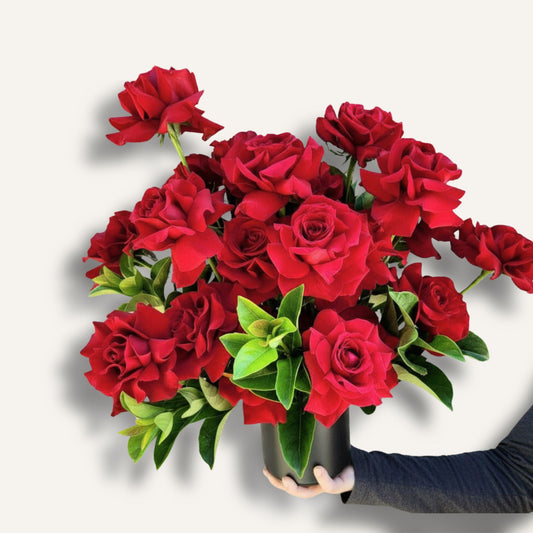 Red reflexed roses in a ceramic pot, arranged as a floral display, from BLOOMHAUS MELBOURNE's True Love collection.