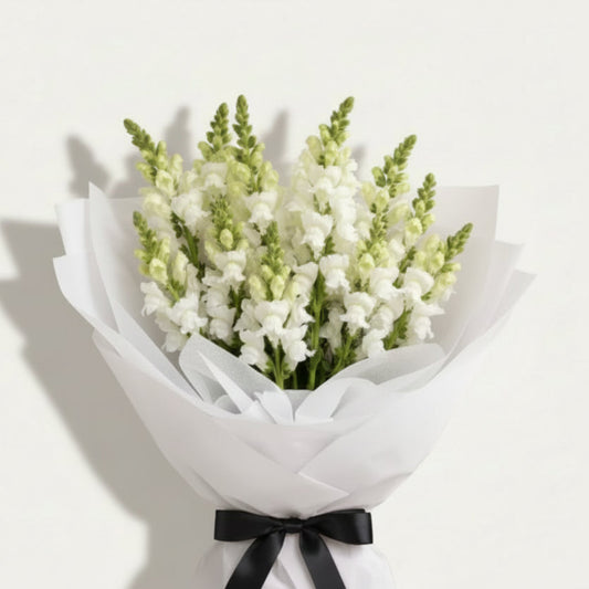 Vivid snapdragons in a large bouquet, showcasing vibrant colors and lush green foliage, from Bloomhaus Melbourne.