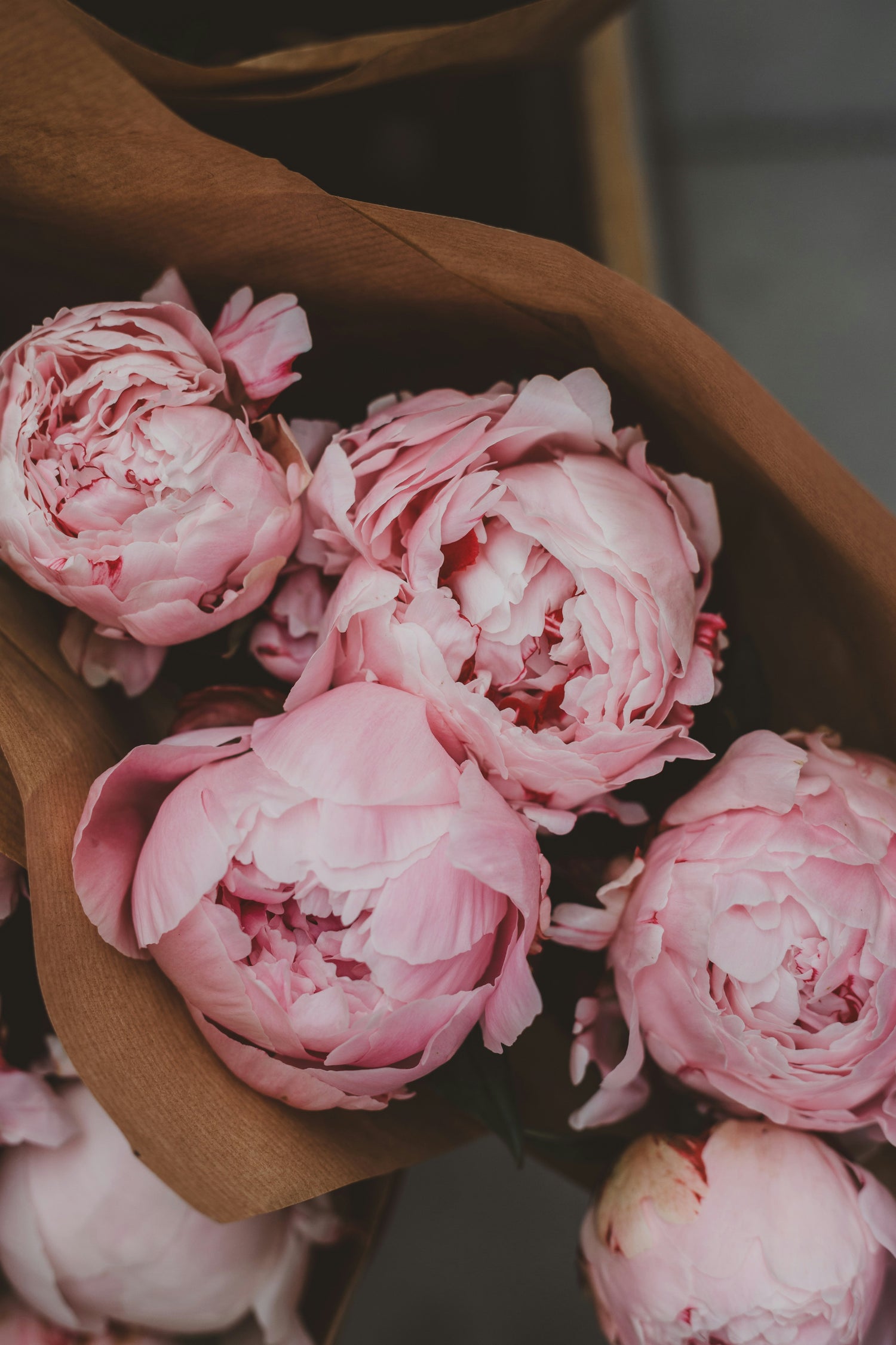 Peonies - Gorgeous Peony Bunch - BLOOMHAUS MELBOURNE