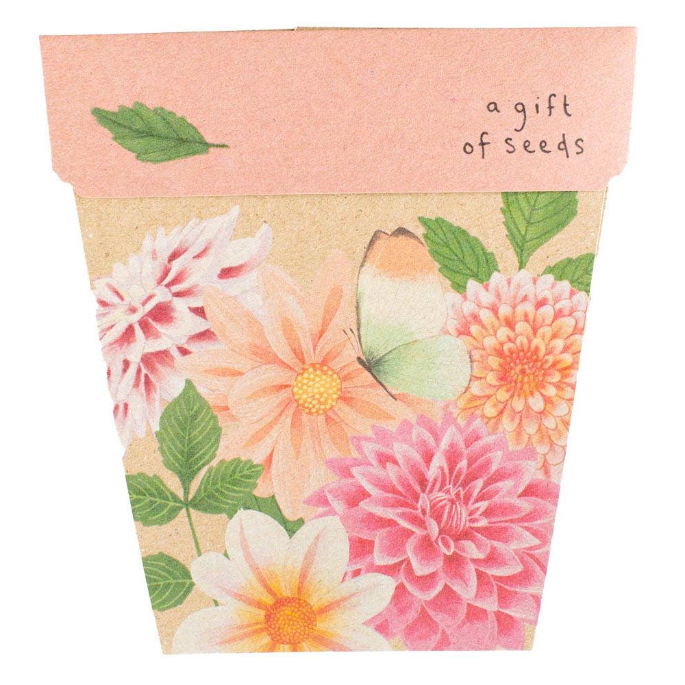 Sow 'n Sow greeting cards Sow N Sow Gift of Seeds