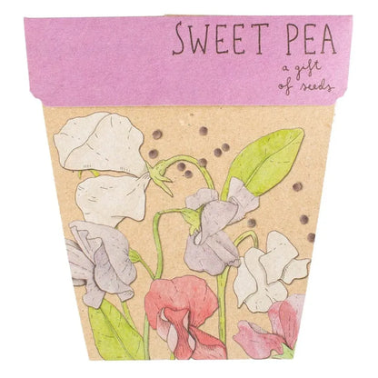 Sow 'n Sow greeting cards Sow N Sow Gift of Seeds