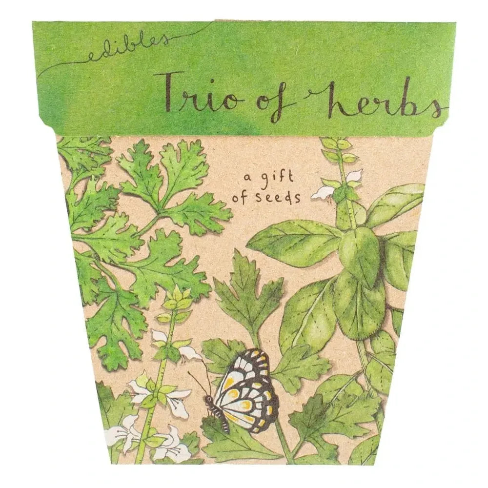 Sow 'n Sow greeting cards Sow N Sow Gift of Seeds