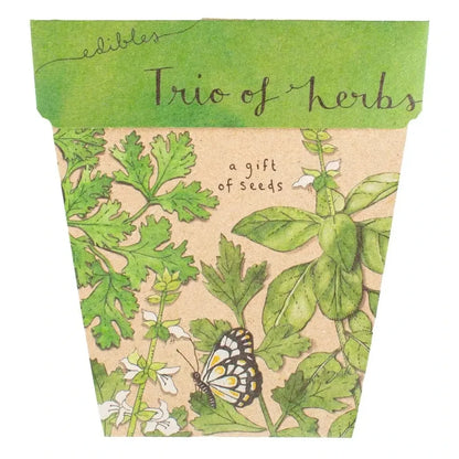 Sow 'n Sow greeting cards Sow N Sow Gift of Seeds
