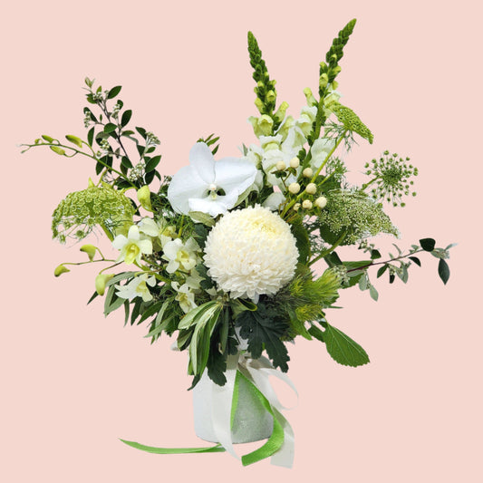 BLOOMHAUS MELBOURNE Mini Blooms Hope - Fresh White Flowers in a Ceramic pot