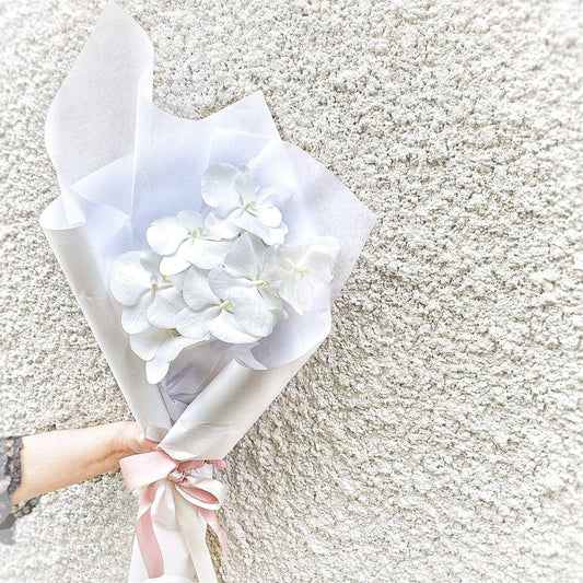 BLOOMHAUS MELBOURNE Phally - Phalaenopsis Orchid Stem