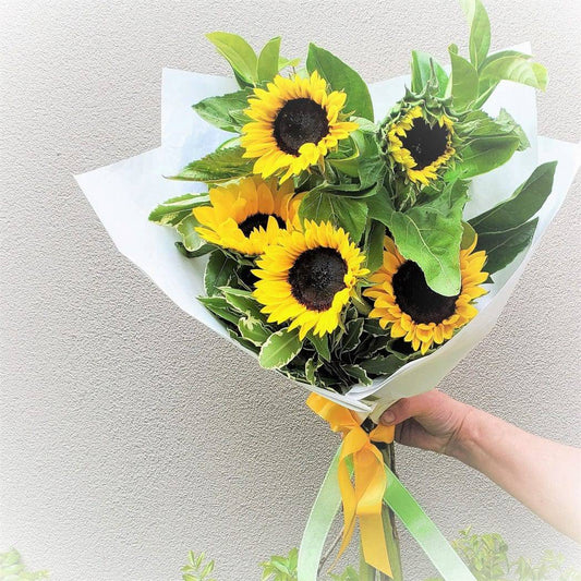 BLOOMHAUS MELBOURNE Sunflowers