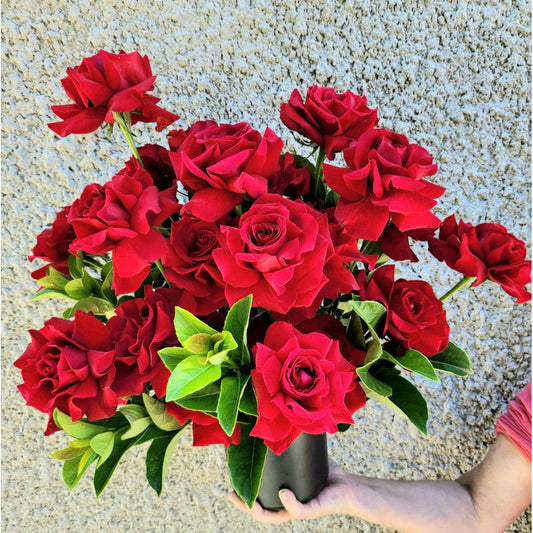 BLOOMHAUS MELBOURNE True Love - 24 Red Roses -
