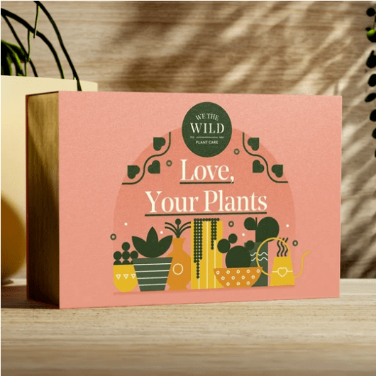 BLOOMHAUS MELBOURNE We The Wild Essential Plant Care Kit